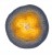 ad417794af29b72d90e4d3086c5f5f6e